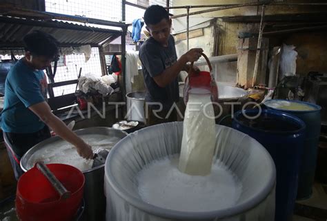 Harga Kedelai Naik Produsen Tahu Kurangi Produksi Antara Foto