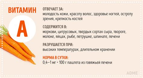 Инфографика Всё о витаминах :: www.shram.kiev.ua