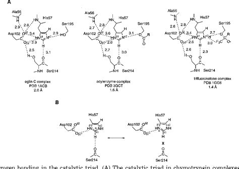 [PDF] Serine protease mechanism and specificity. | Semantic Scholar