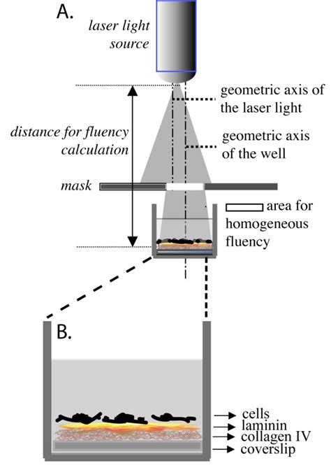 Representation Of Laser Irradiation System A Figure Illustrating The