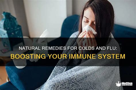 Natural Remedies For Colds And Flu Boosting Your Immune System Medshun