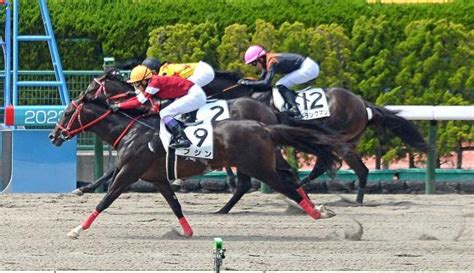 【函館1r】kダービー馬の弟ブシンが初勝利 武豊「まだまだ走りそう」 競馬ニュース