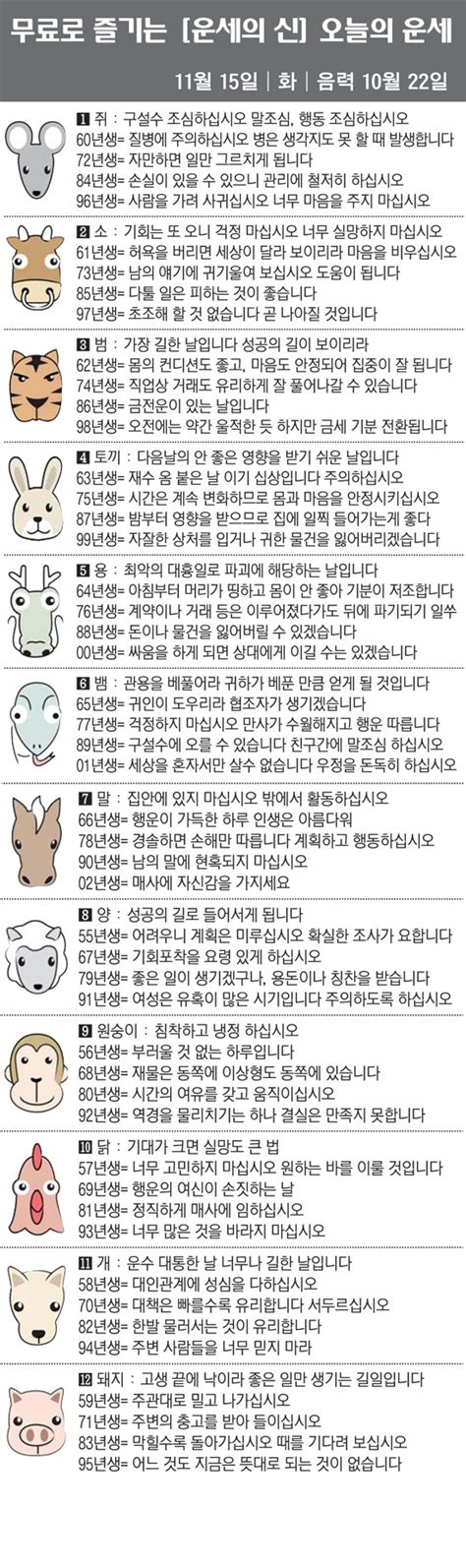 직장인을 위한 오늘의 운세 2022년 11월 15일 화요일 오늘의 띠 스포츠조선