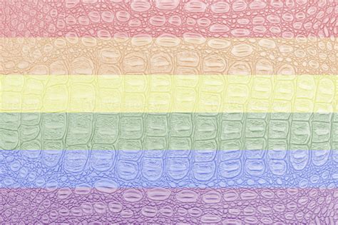Rainbow Lgbtq Or Gay Pride Flag On Crocodile Leather Texture Abstract Background