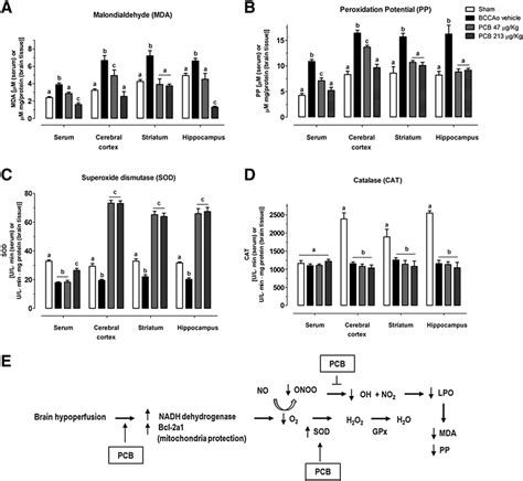 Effects Of PCB Treatment On MDA A PP B SOD C And CAT D Levels