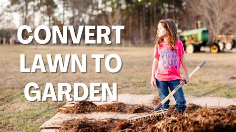 Convert Lawn To Garden Mulching With Wood Chips Easy Youtube