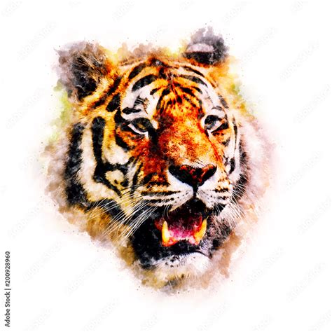 Tiger Watercolor painting Art Stock Illustration | Adobe Stock