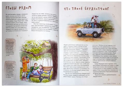 "Птицы в городе": Книга Анны Васильевой - Книжный шкаф детям