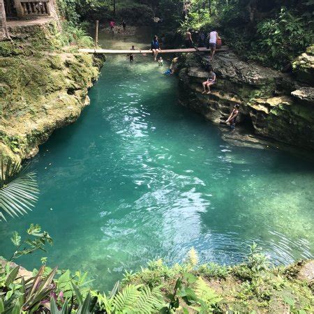 alegria philippines          tripadvisor