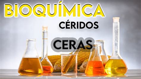 C Ridos Y Ceras Qu Son Bioqu Mica Youtube