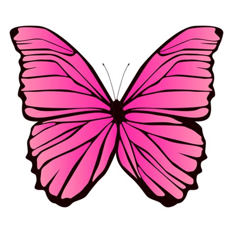 Diseño Png Y Svg De Diseño De Mariposa Rosa Para Camisetas