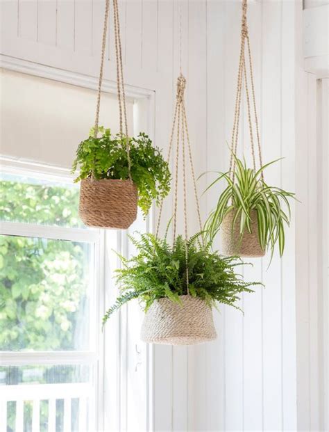 18 Inspirações para Pendurar Plantas em Casa