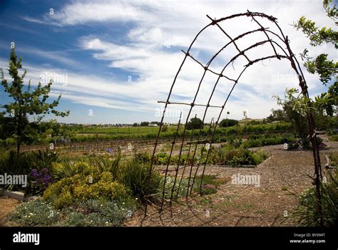 Fairview Wine Estate Stock Photo - Alamy