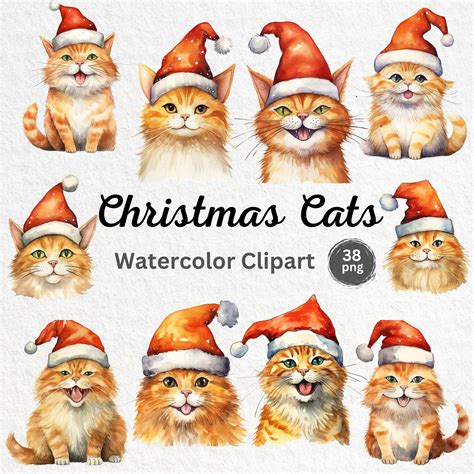 Watercolor Christmas Cats Clipart Christmas Cats Bundle Png