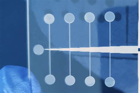 Microfluidic Single Cell