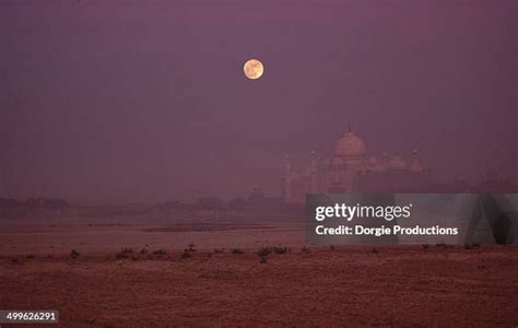 Taj Mahal India In Moonlight Photos and Premium High Res Pictures ...