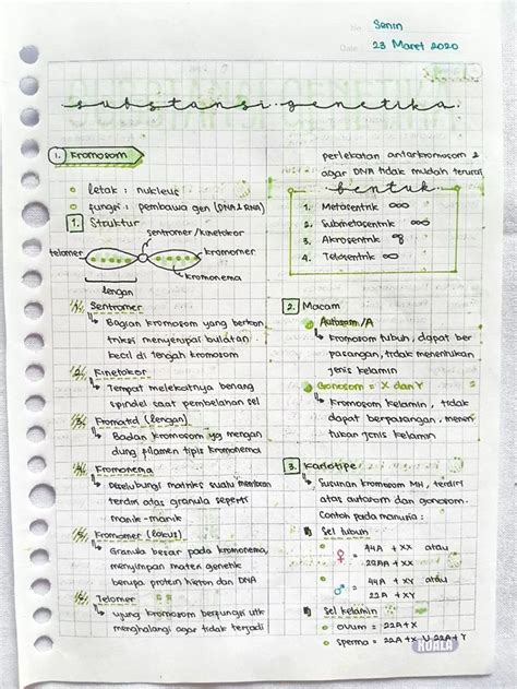 Biologi Substansi Genetika Kelas Xii Clearnote Biology Notes