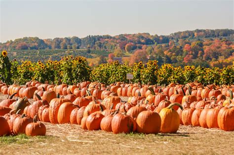 Photos: Southwestern Connecticut fall foliage 2016