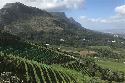 6 Vineyards Not to Miss in the Cape Winelands – Touropia Travel