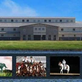 Jacksonville Equestrian Center - Recreation - Gainesville - Jacksonville