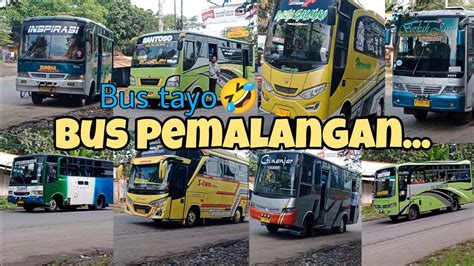 Hunting Bus Pemalang Purwokerto Dan Moga Bus Tayo Nya Pemalang Youtube