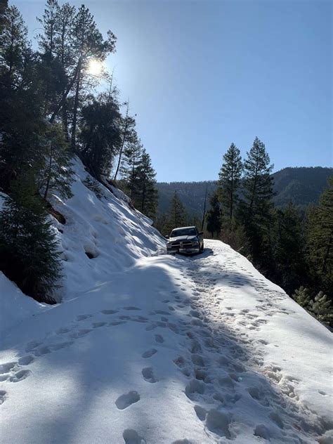 National Forest road closures extended in Southwest Colorado - The Durango Herald