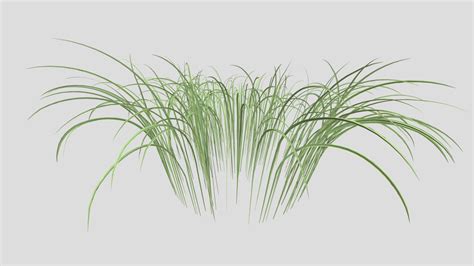 Realistic Grass With Mesh 3d Model By Evgeny Pukki [b988f38] Sketchfab