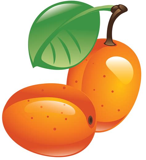 Облепиха PNG