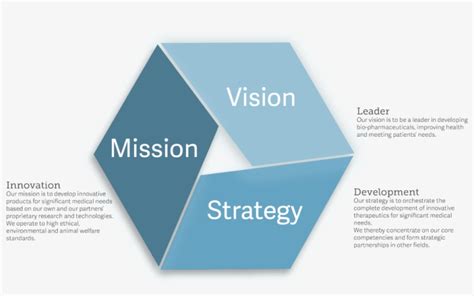 Vision/Mission Infographic