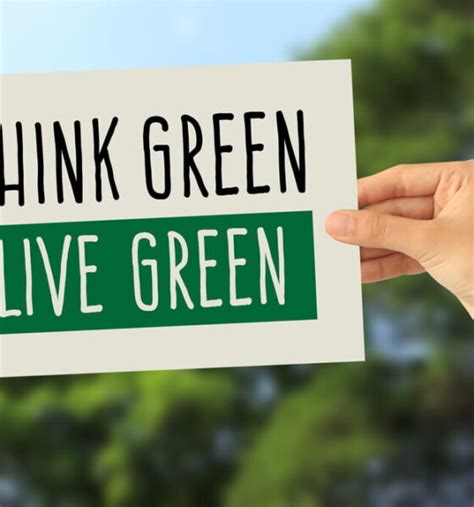 Super Simple Ways to Create an Eco-Friendly Daily Routine 