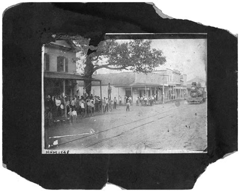 [Hanging Tree - Orange, Texas] - The Portal to Texas History