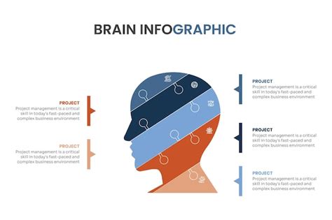 Gehirn Infografik Vorlage Mit Diagramm Und Verschiedenem Optionsvektor