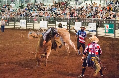 Ute Stampede Rodeo