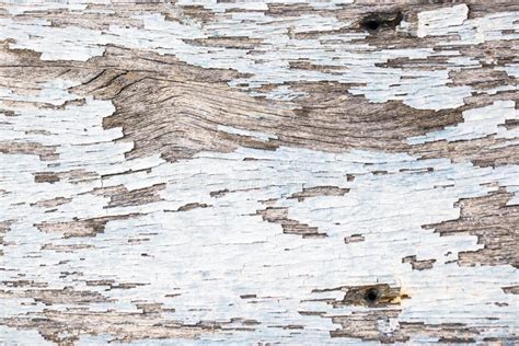 Color Peel Wood Texture Stock Photo Image Of Brown Peel 64323454