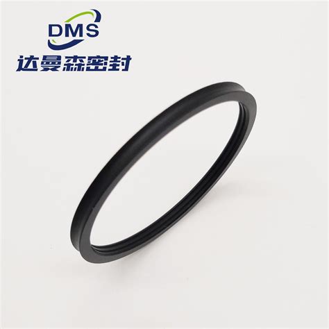 Engineering Cnc Lathe Ptfe Rotary Piston Seals Gns Rod Seal And Head