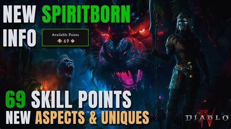 Skill Points For Every Class New Spiritborn Info You Missed