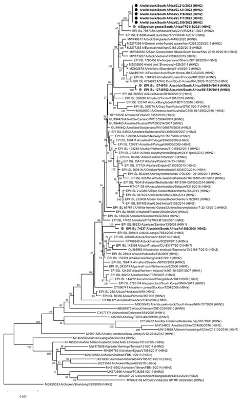 Viruses Free Full Text Wild Bird Surveillance In The Gauteng Province Of South Africa During