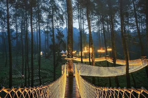 Wisata Orchid Forest Lembang Edisi