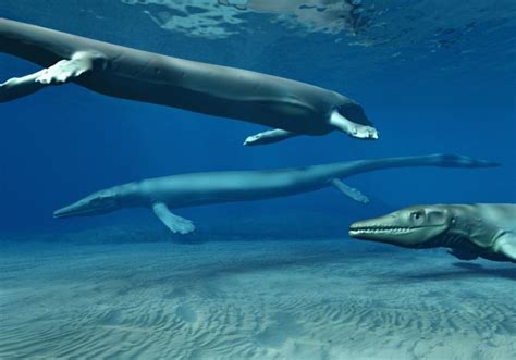 Список мозазавров | это... Что такое Список мозазавров?