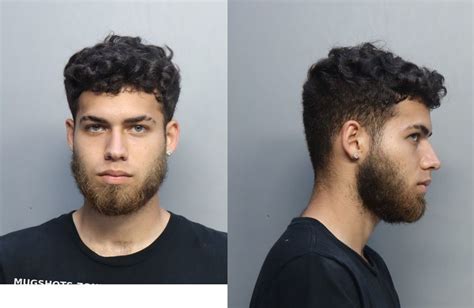 Leyvabaez Ernesto Miami Dade County Mugshots Zone