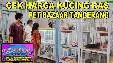 Cek Harga Kucing Ras Di Pet Bazaar Tangerang Petsholic Summarecon