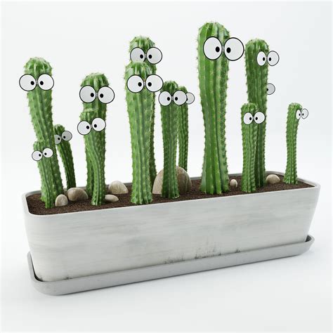 Cactus With Eyes D Model Cgtrader