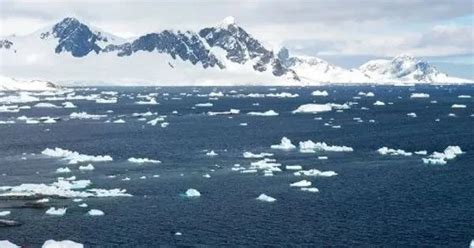 Sea Ice Response to Climate Change is shown by a complete image of the ... 