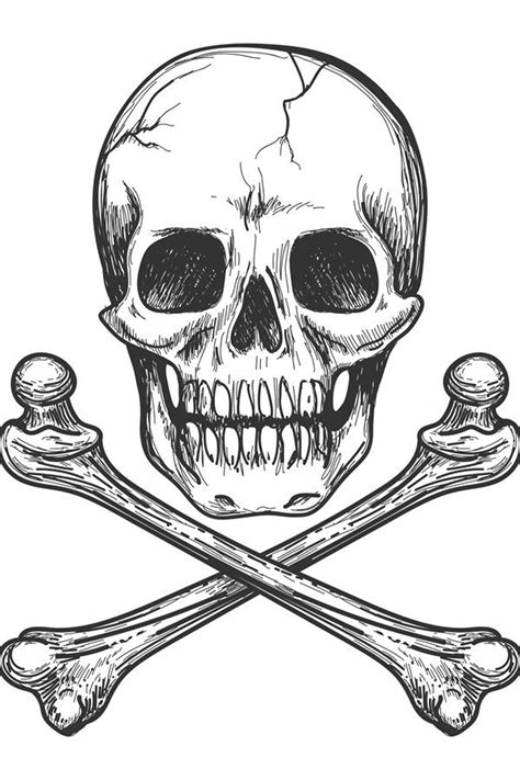 Skull And Crossbones Vector Illustration 942332 Illustrations Design Bundles In 2021