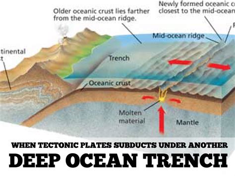 Tectonic Plate Boundaries By Gracie Sands