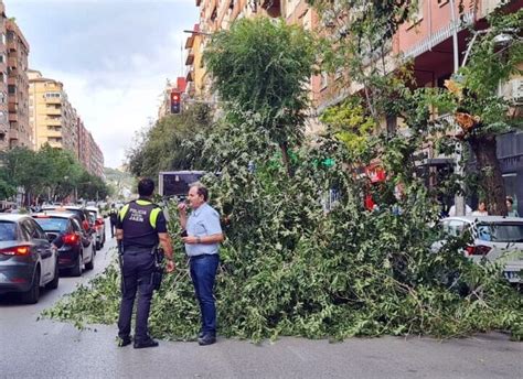 La Borrasca Aline Sacude El Mar De Olivos Con El Viento Y Las Lluvias