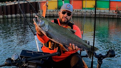 Slamming BIG Fall Coho Lake Michigan Kayak Fishing YouTube