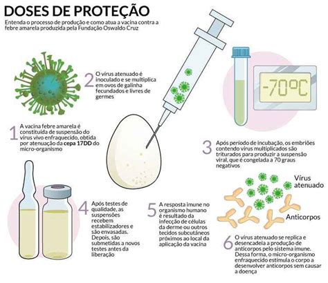 Laborat Rio Que Fabrica Vacinas Contra A Febre Amarela Opera No Limite