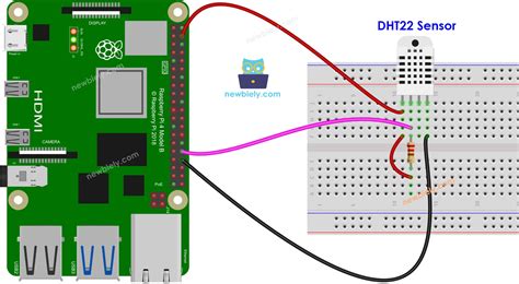 Raspberry Pi - DHT22 | Raspberry Pi Tutorial