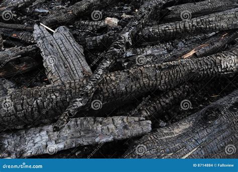 Burned Wood Logs Stock Images Image 8714884